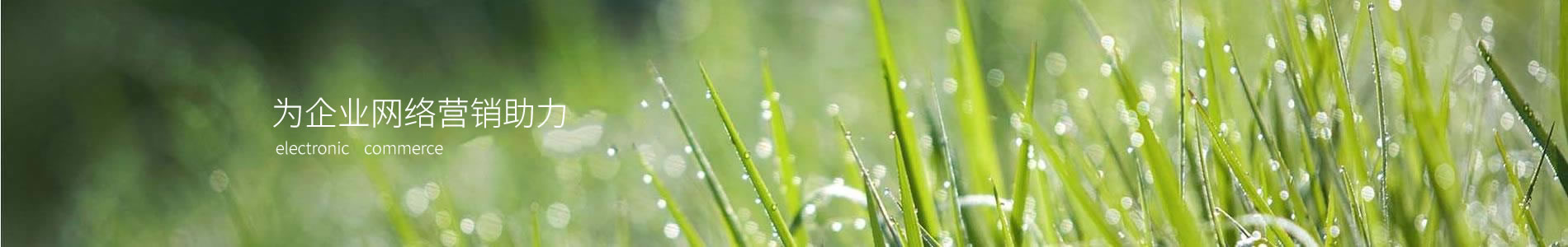 Ϻ½̼޹˾